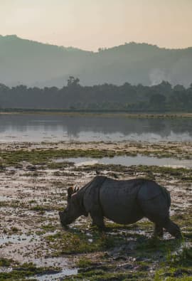 Kaziranga National Park