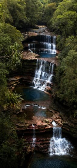 Why Choose Us Element